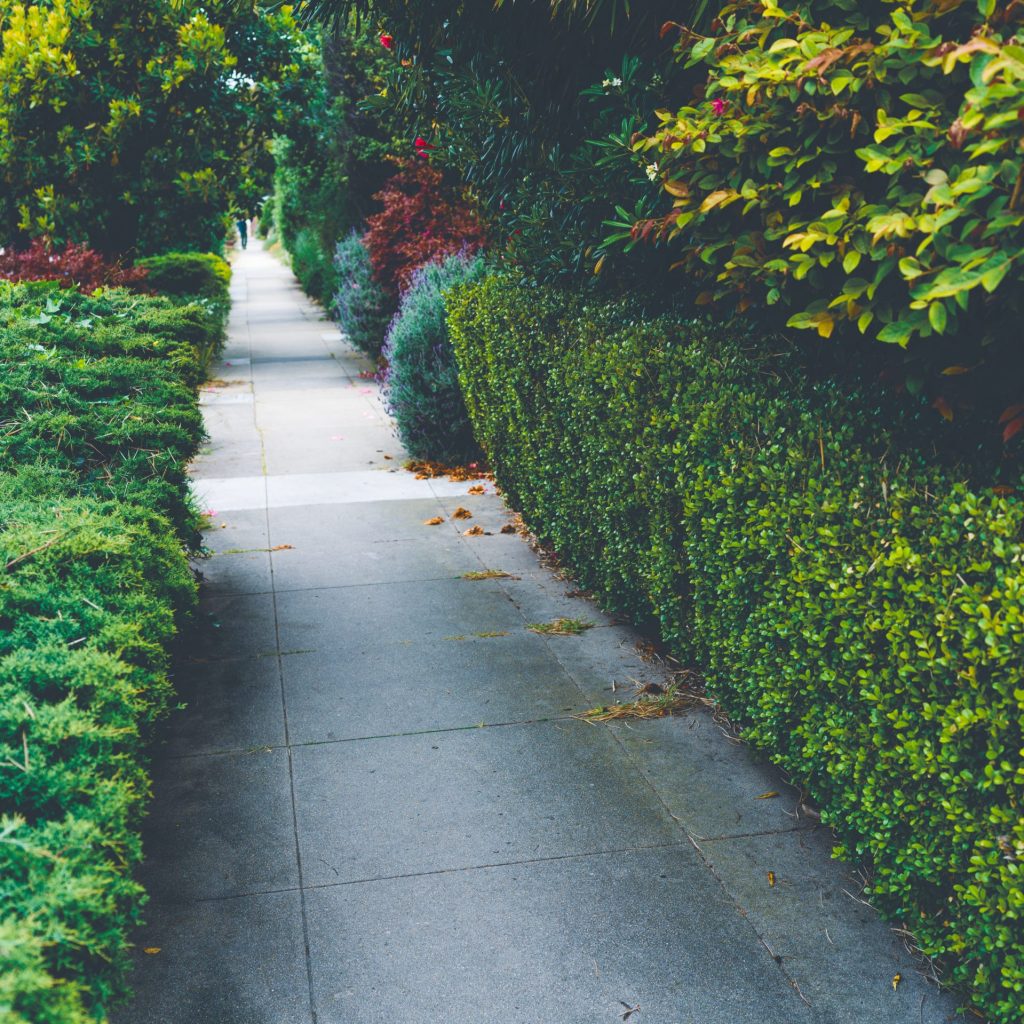 elizabeth-explores-pk0du67cX4o-unsplash