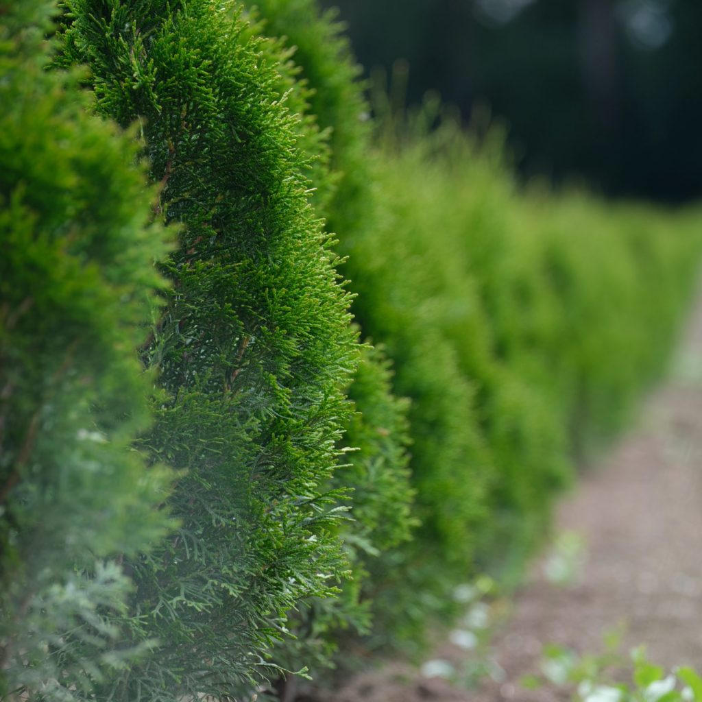 manuel-t-xf1nszrKH_s-unsplash