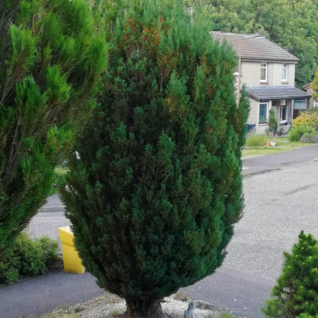 received_1634443853404547